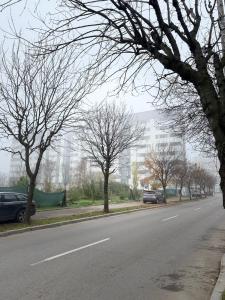 a street with trees on the side of the road at DecoStudio in Craiova