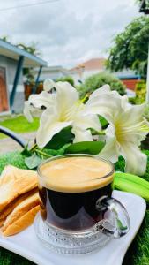 Jídlo v hotelu nebo okolí