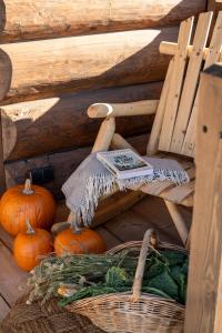 a bunch of pumpkins and a basket with a book at Leśna Chatka in Dzianisz