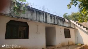 Φωτογραφία από το άλμπουμ του Serena Nirvana σε Anjuna