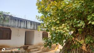 Φωτογραφία από το άλμπουμ του Serena Nirvana σε Anjuna