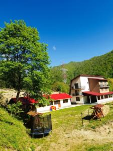 Φυσικό τοπίο κοντά σε αυτός ο ξενώνας