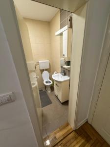 Kopalnica v nastanitvi Kruna apartment + 3 fotografije