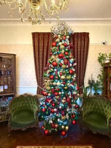 ein Weihnachtsbaum im Wohnzimmer mit zwei Stühlen in der Unterkunft The Angove - Adults Only in Weymouth