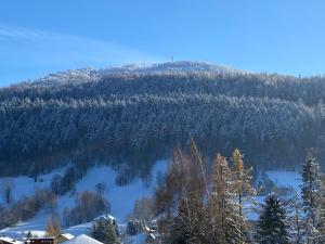 ein Berg mit Bäumen und Schnee darauf in der Unterkunft EveRest Apartamenty Szczyrk in Szczyrk