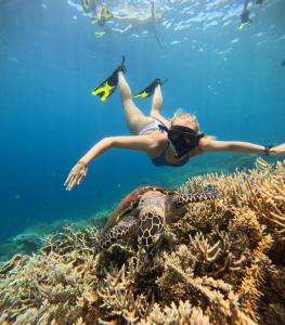 a woman swimming over a coral reef with a turtle at Modo home in Komodo