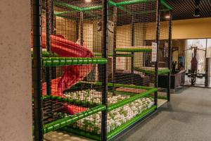 Palanda nebo palandy na pokoji v ubytování Polanica Park - Polanica Prestige