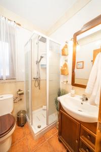 une salle de bain avec douche et lavabo dans l'établissement La Casita de La Aduana, à Candeleda