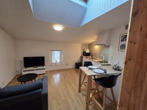 Televiisor ja/või meelelahutuskeskus majutusasutuses Le Pumba - large studio avec Wi-Fi