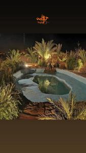 een kleine plas water in het midden van een veld bij Terregite Taghit in Taghit