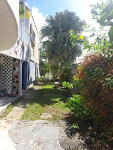 une cour avec un palmier à côté d'un bâtiment dans l'établissement Appartement convivial à Sainte-Luce de 60 m² avec jardin, à Trois-Rivières