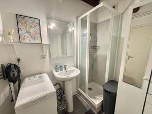 拉瓦勒Vue Château & Mayenne - Centre historique - 6 personnes的带水槽和淋浴的小浴室