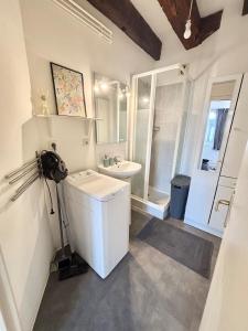 拉瓦勒Vue Château & Mayenne - Centre historique - 6 personnes的带水槽和马桶的白色浴室