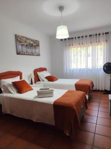 una camera con due letti e una luce a ciondolo di Pertinho do Rio a Ponte de Lima Altre 18 foto