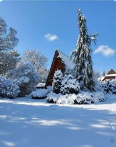Domki Janosik - Góralski domek z kominkiem, na dużej ogrodzonej działce, przyjmujemy psy bezpłatnie, Łopuszna blisko Nowego Targu i Białki Tatrzańskiej na Podhalu trong mùa đông