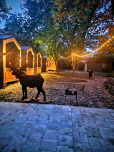 Κατοικίδιο ή κατοικίδια επισκεπτών που μένουν στο SmartVille Kyiv