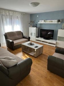a living room with a couch and a tv at Guest House Lona in Golubac