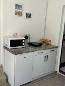 a microwave sitting on top of a counter at Guest House Lona in Golubac +45 photos