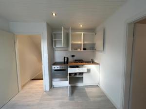 Η κουζίνα ή μικρή κουζίνα στο BJM Sage Loft Heusenstamm 1OG
