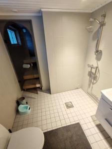 Ένα μπάνιο στο Villa Kauliranta - cozy home in Lapland +18 φωτογραφίες