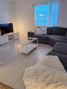 Μια τηλεόραση ή/και κέντρο ψυχαγωγίας στο Villa Kauliranta - cozy home in Lapland