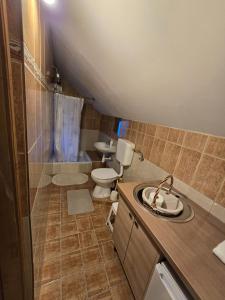 a bathroom with a toilet and a sink in it at Privatni smještaj Tolić in Ladimirevci