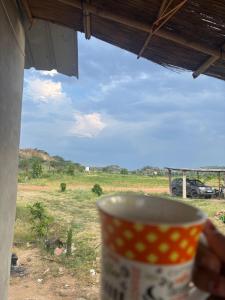 eine Tasse mit Blick auf ein Feld in der Unterkunft Exit 96 Farm Stay in Pāli