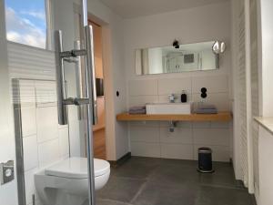 a bathroom with a toilet and a sink and a mirror at Hof Hallenberg in Hallenberg