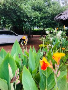 哈伯勒内Tiara Elephant Lodge的一辆白色轿车停在鲜花盛开的花园前。