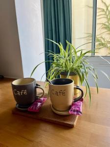 Fotografie z fotogalerie ubytování Cozy appartement en centre-ville v Montpellier + 14 fotografií