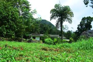 a small house in the middle of a field at Ranpokuna Bungalow with 3 Bed Rooms in Kiriella +7 photos