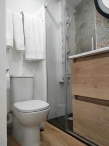a white bathroom with a toilet and a shower at Visitar La Campana in La Campana