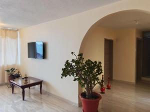 un salon avec une table et une plante en pot dans l'établissement DEPARTAMENTO EN Riobamba ALBORADA VIP, à Riobamba