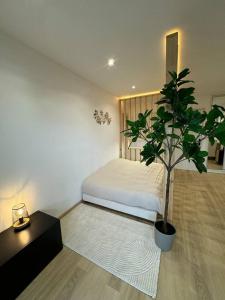 a bedroom with a bed and a potted plant at L'échappée Alsacienne - Studio in Saint-Louis in Saint-Louis