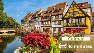 a group of houses and a canal with flowers at L'échappée Alsacienne - Studio in Saint-Louis in Saint-Louis