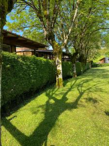 Zahrada ubytování Bungalow Camping Aralar