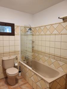 a bathroom with a toilet and a bath tub at Casa Las Palmeritas in Tinajo +15 photos