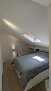 una camera con un grande letto e un lucernario di Staywell a Banja Koviljača