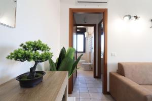 un soggiorno con tavolo e pianta di Masi House a La Massimina-Casal Lumbroso