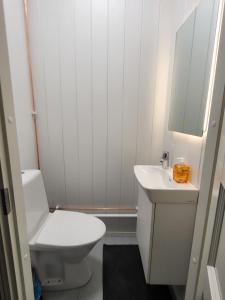 a white bathroom with a toilet and a sink at Villa Hattara - a cottage on the shore of a rapid in Nukari