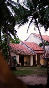 Pondok Kalimaya في سيرانغ: منزل بسقف احمر و نخلتين +12 صورة