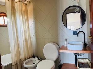 a bathroom with a toilet and a sink and a mirror at Las Margaritas in Ushuaia