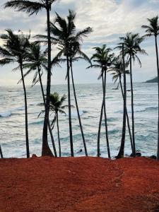 KamburugamuwaにあるMoon View Home stayの海の近くのビーチにある4本のヤシの木