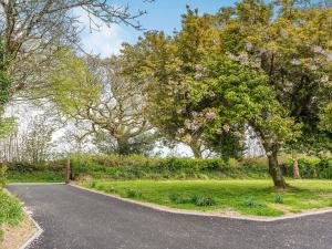 an empty road in a park with trees and grass at Cefn Gelli in Clynderwen