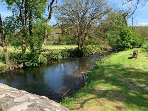 a river with two benches sitting next to a field at Cefn Gelli in Clynderwen