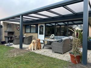 Патио или другая зона на открытом воздухе в Moderner gepflegter Nr 142 ruhiger Bungalow, Strandnah mit großen, uneinsehbaren Garten, Terrassenüberdachung