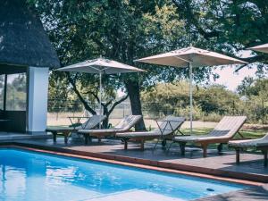 eine Gruppe von Stühlen und Sonnenschirmen neben einem Pool in der Unterkunft Tshikwalo Guest House in Klipdrift