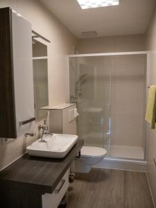 une salle de bains avec lavabo, douche et toilettes dans l'établissement Race & Rest Apartments, à Baar