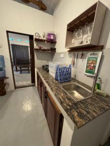 Η κουζίνα ή μικρή κουζίνα στο Acmi Villa with River View