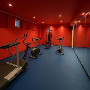 Fitness centrum a/nebo fitness zařízení v ubytování Lakeside Wellness Villa Buftea